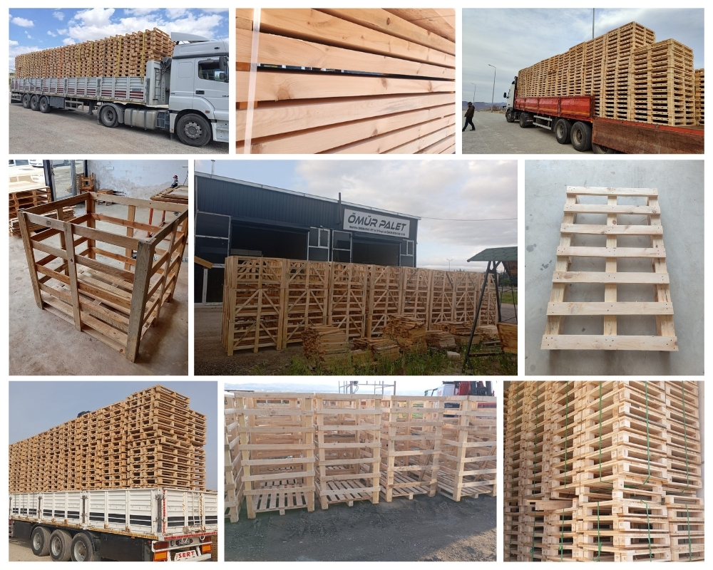 Venlo Houten Kisten, Europallets Groothandel Kopen